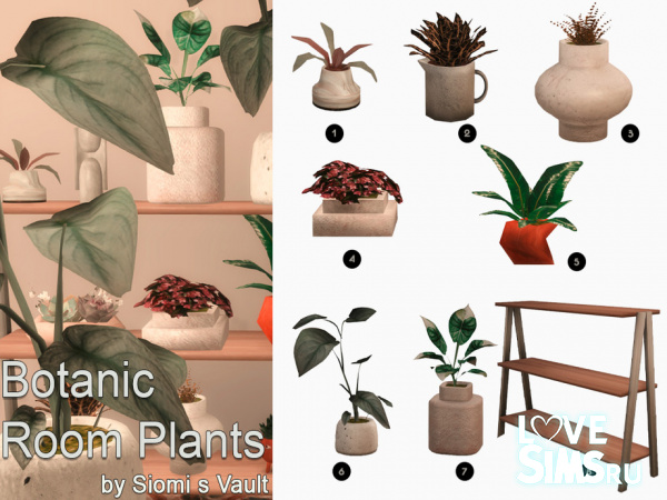 Растения Botanic Room Plants